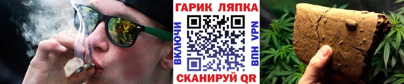 ГАШ Premium Лосино-Петровский