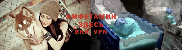 шишки Абинск