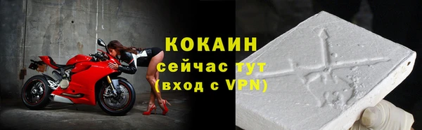 шишки Абинск