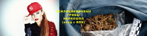 дмт Протвино