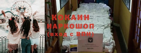 дмт Протвино