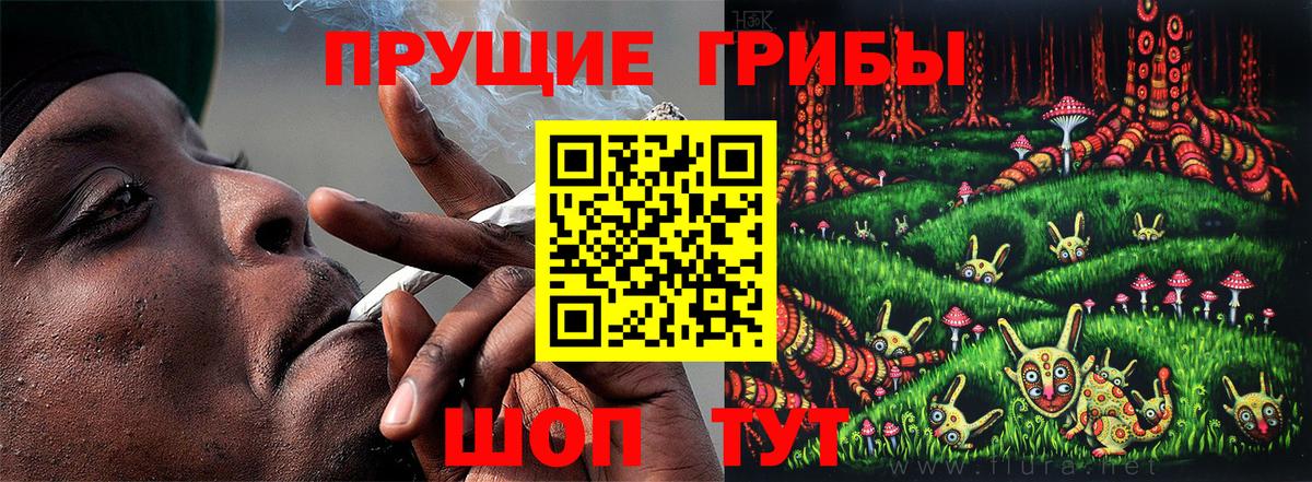 купить  сайты  Галлюциногенные грибы Psilocybine cubensis  Вход с VPN  Лосино-Петровский 